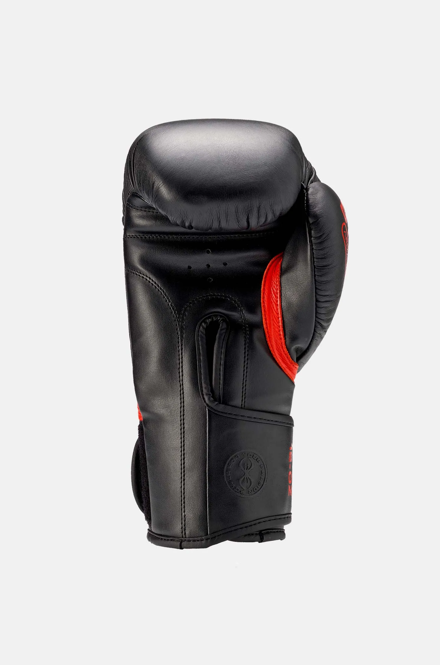 Armapro Boxing Gloves