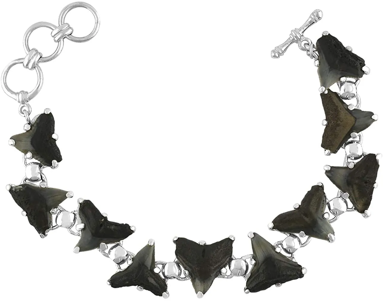 Starborn genuine Fossil Megalodon and Cosmopolitodus Bracelet in Sterling Silver