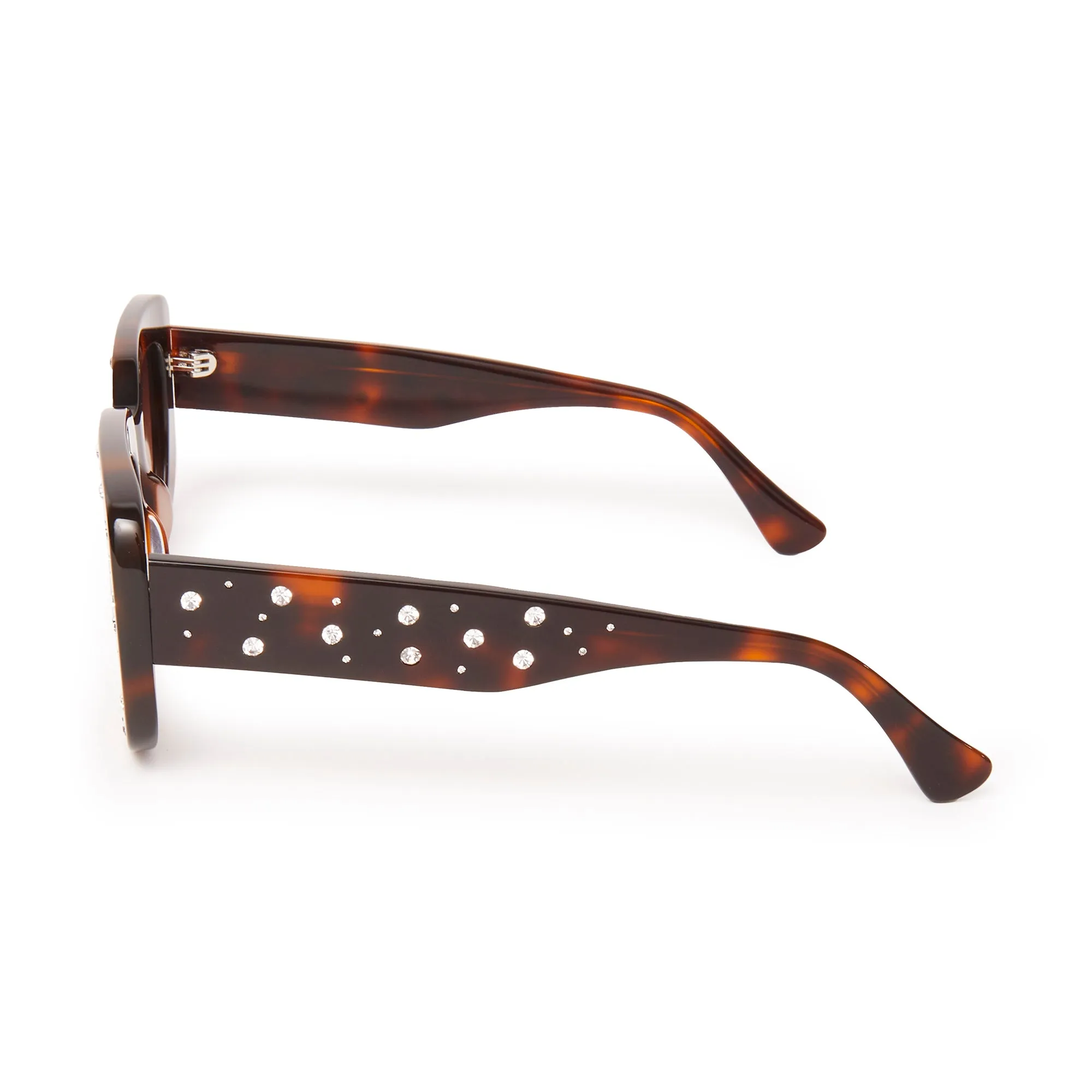 TORTOISE ASPEN SUNGLASSES