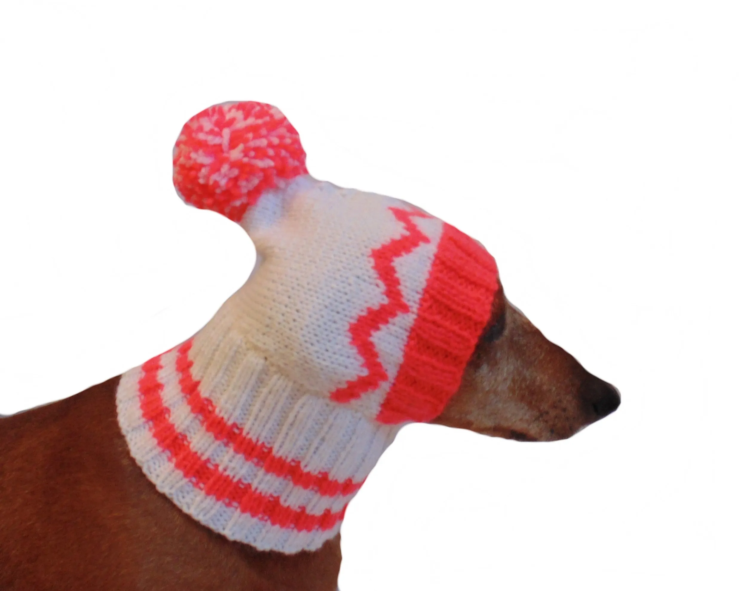 Warm hat for dog or cat, hat for a dog, hat for small dog, hat for dachshund, knitted hat, warm ears of dog