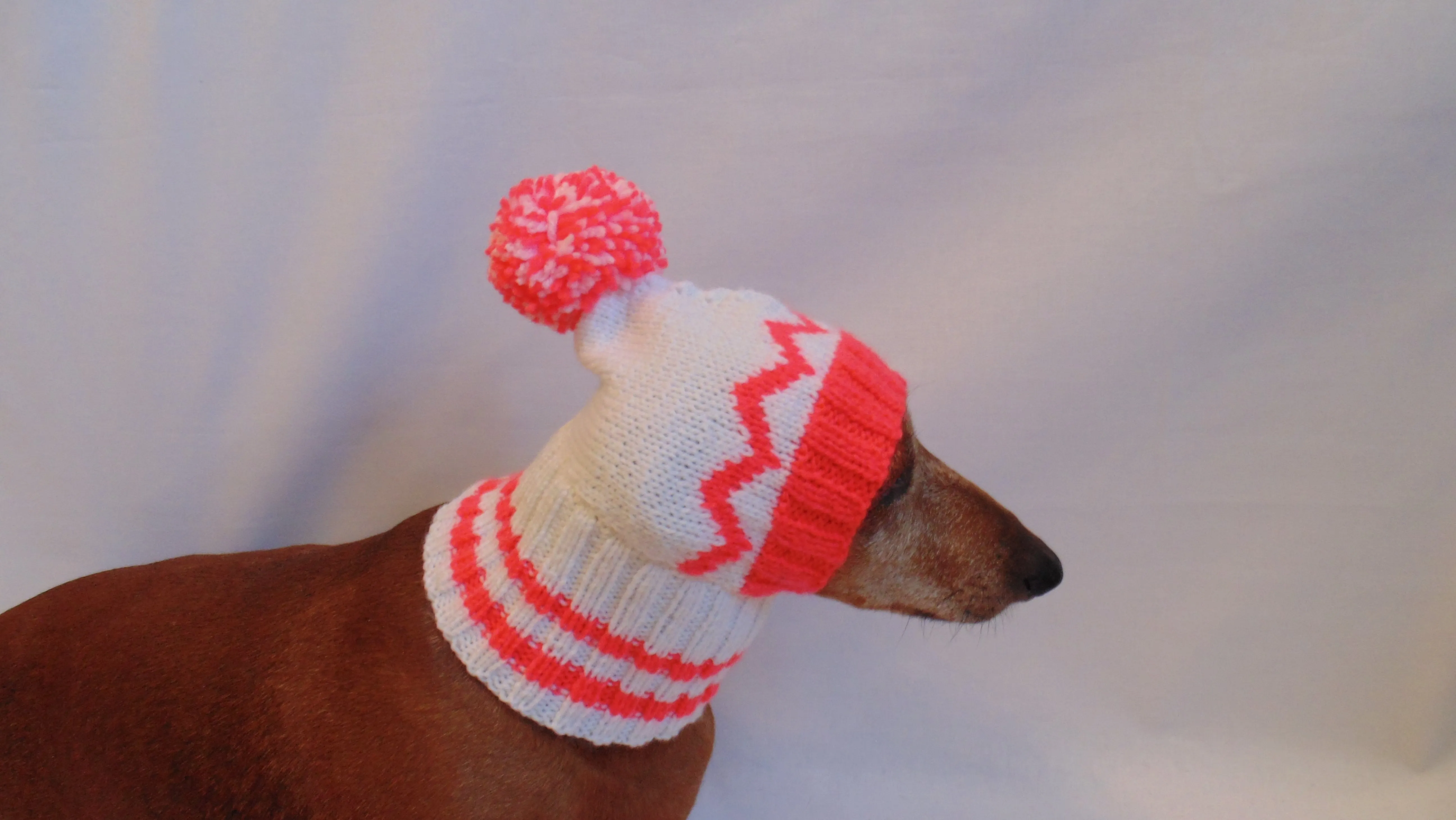 Warm hat for dog or cat, hat for a dog, hat for small dog, hat for dachshund, knitted hat, warm ears of dog